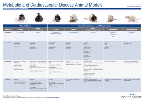 Disease Models Poster