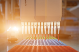 Rodent model genetic quality control guidebook for genetic monitoring