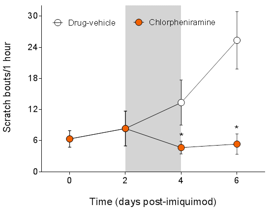 Quantification of scratch bouts, a measure of spontaneous itch, in IMQ psoriasis model treated with drug vehicle vs Chlorpheniramine