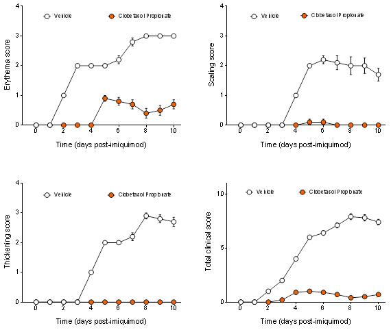 Graphs measuring various clinical signs of skin inflammation (erythema, scaling, thickening) in psoriasis mouse model treated with vehicle vs Clobetasol propionate