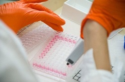 Scientists must carefully plan and execute assays for drug transporters via multi-well plates as the majority of drugs interact with transporter proteins as substrates and/or inhibitors and can be a critical step in determining a drug’s ADMET profile and derisking a candidate prior to development. 