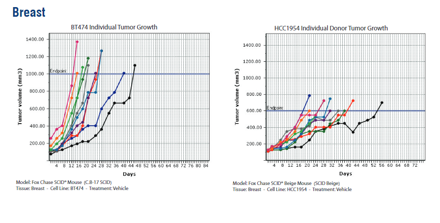 breast tumor growth data in SCID mice