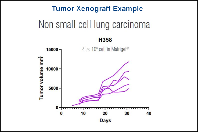 SRG xenograft data document detail