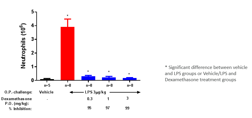 Chart assessing neutrophilia in bronchoalveolar lavage fluid