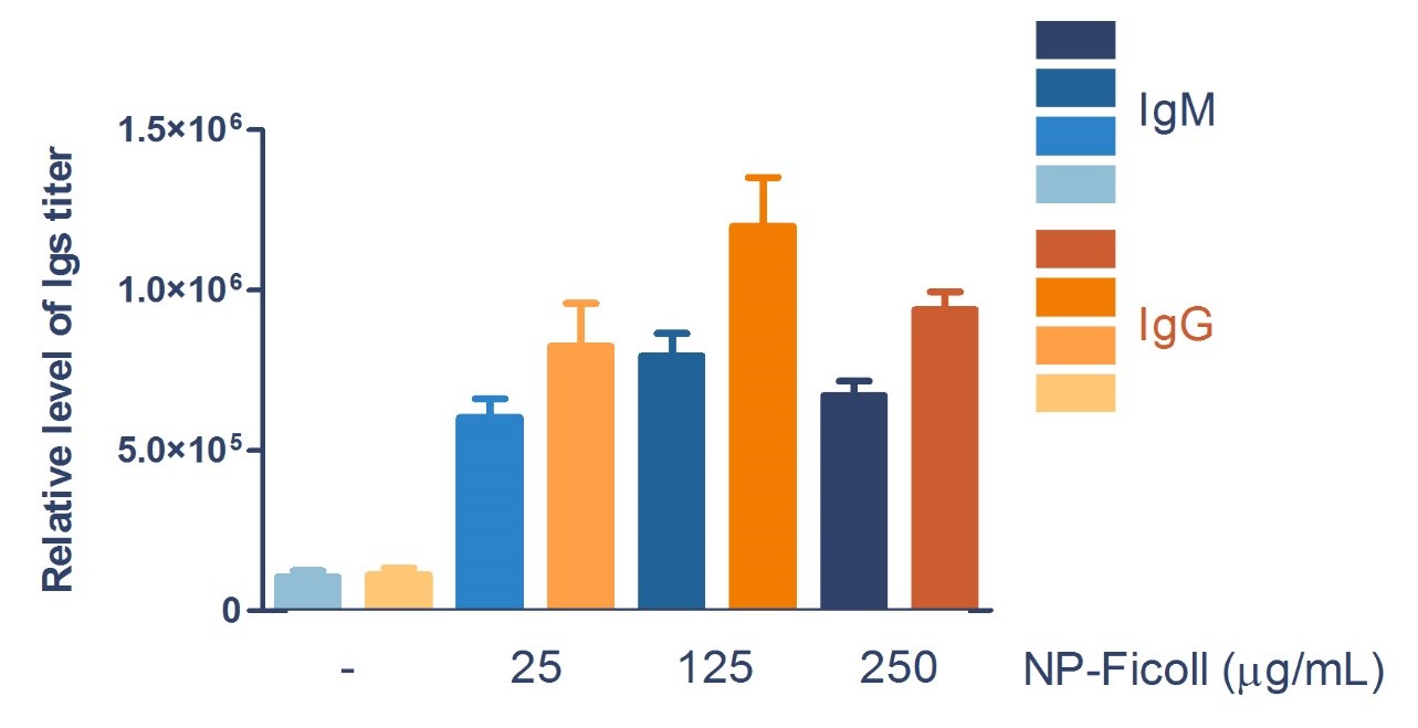 graph showing measurement of antigen-induced serum IgM and IgG antibody levels