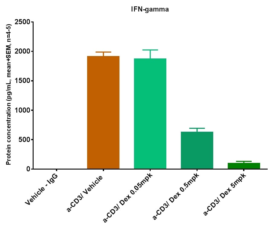graph showing serum IFN-gamma levels in mice three hours following injection of antibody (clone 145-2C11) targeting murine CD3 and four hours following administration of Dexamethasone