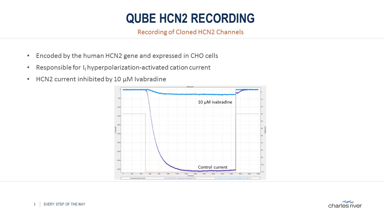 At Charles River, we use fluorescent assays, automated patch-clamp systems and manual patch electrophysiology assays to screen compounds that modulate ion channel activity.