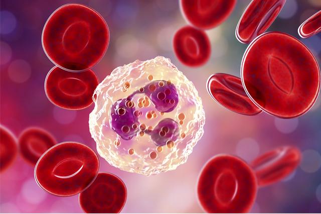 Microscopic view of blood cells