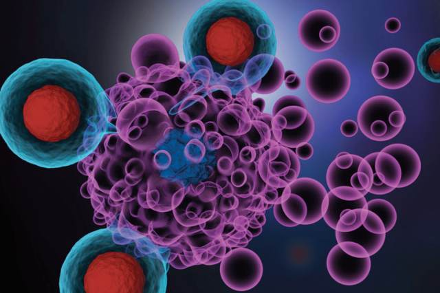 Microscopic view of cells