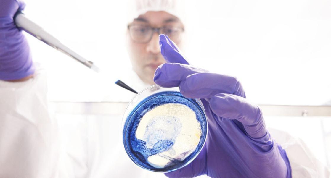 What Can Pharma QC Micro Learn from the Cosmetics Industry?