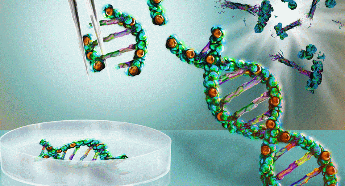 Strands of DNA being cut-up to demonstrate CRISPR
