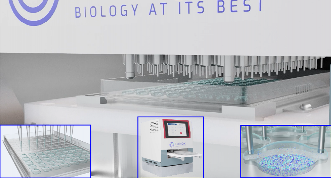 Manufacturing Living Therapy -- Lamina Wash image 