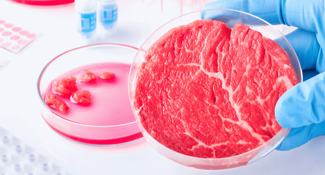 Cell-based meats shown in a petri dish.
