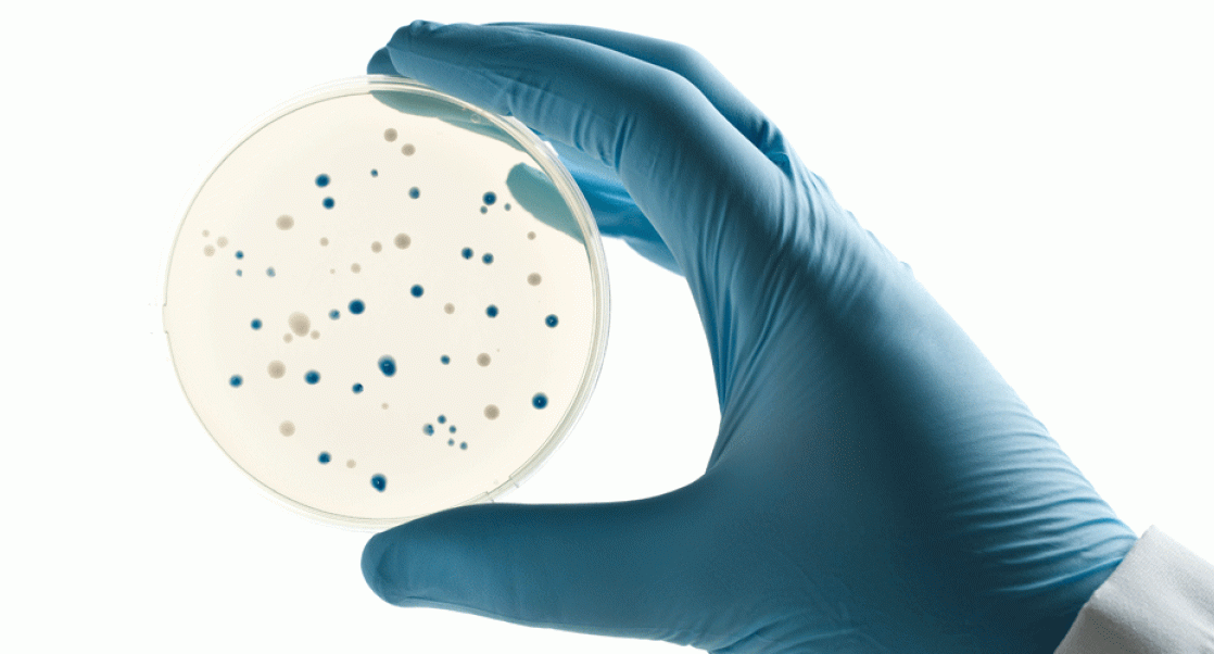 Lab worker holding a petri dish. Illustrates story about EMPQ mandates