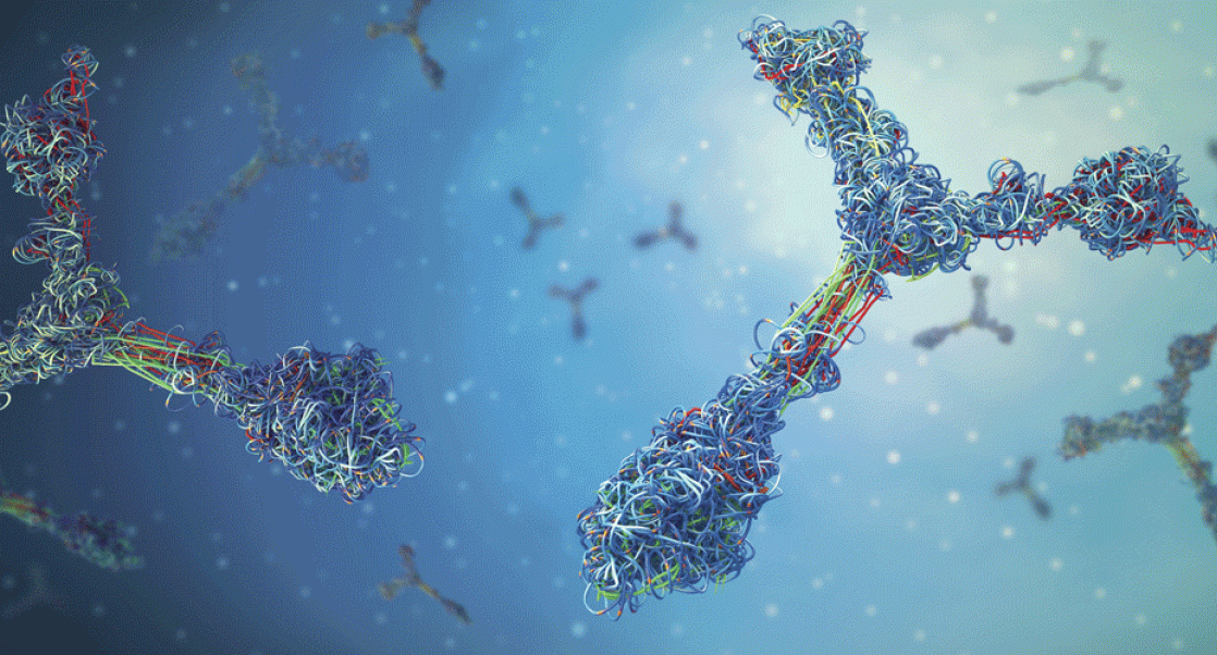 Illustration of antibodies -- part of a story on host-cell proteins.