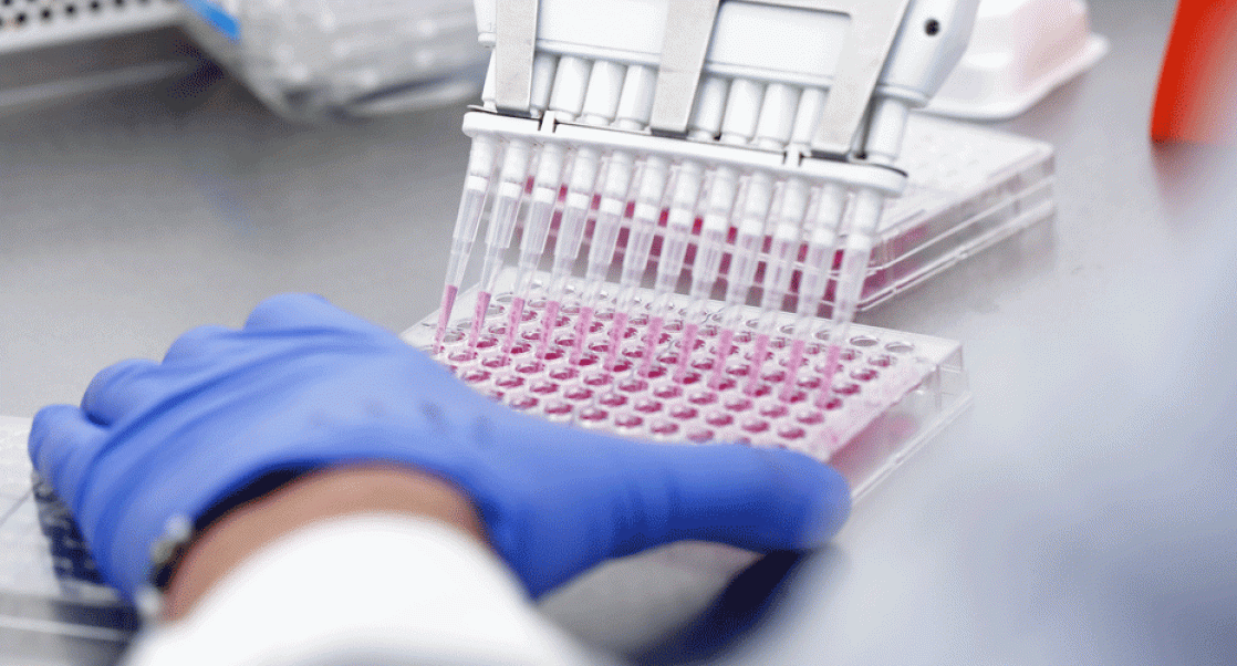 High-Throughput Screens.  