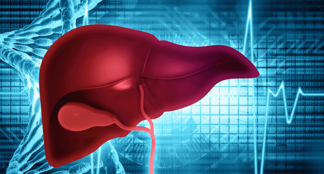 Liver with DNA in background. Liver Chips are changing genotoxicology evaluations.