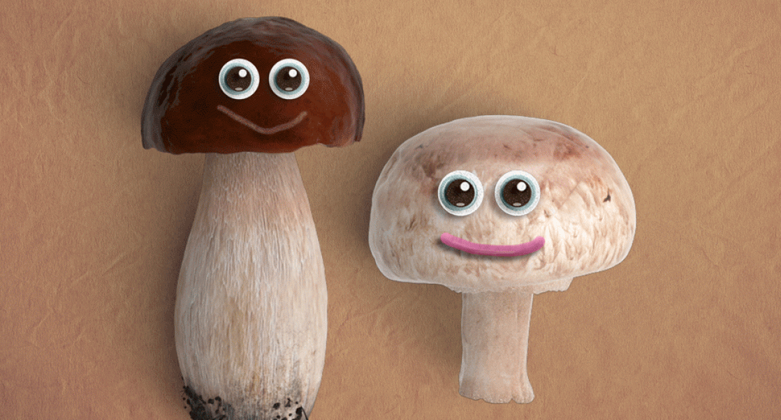 Two mushrooms with human facial features. For mold series.