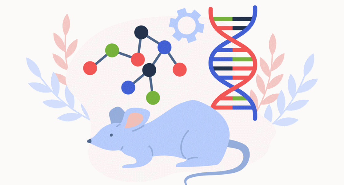 Cartoon of cancer mouse model