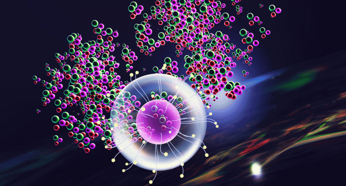 therapeutic agents carried by nanoparticles.