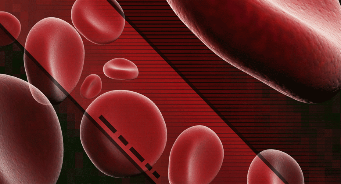 Closeup of human red blood cells.