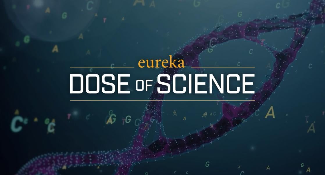 David Fischer discusses rapid genetic testing