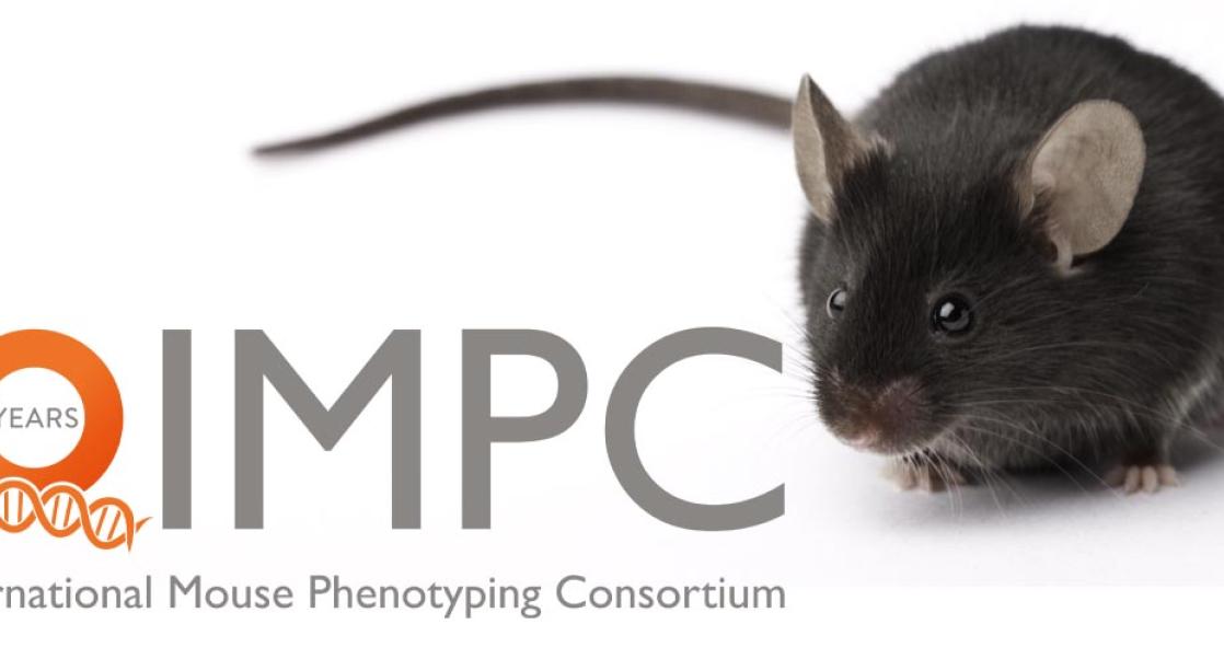 International Mouse Phenotyping Consortium turns 10