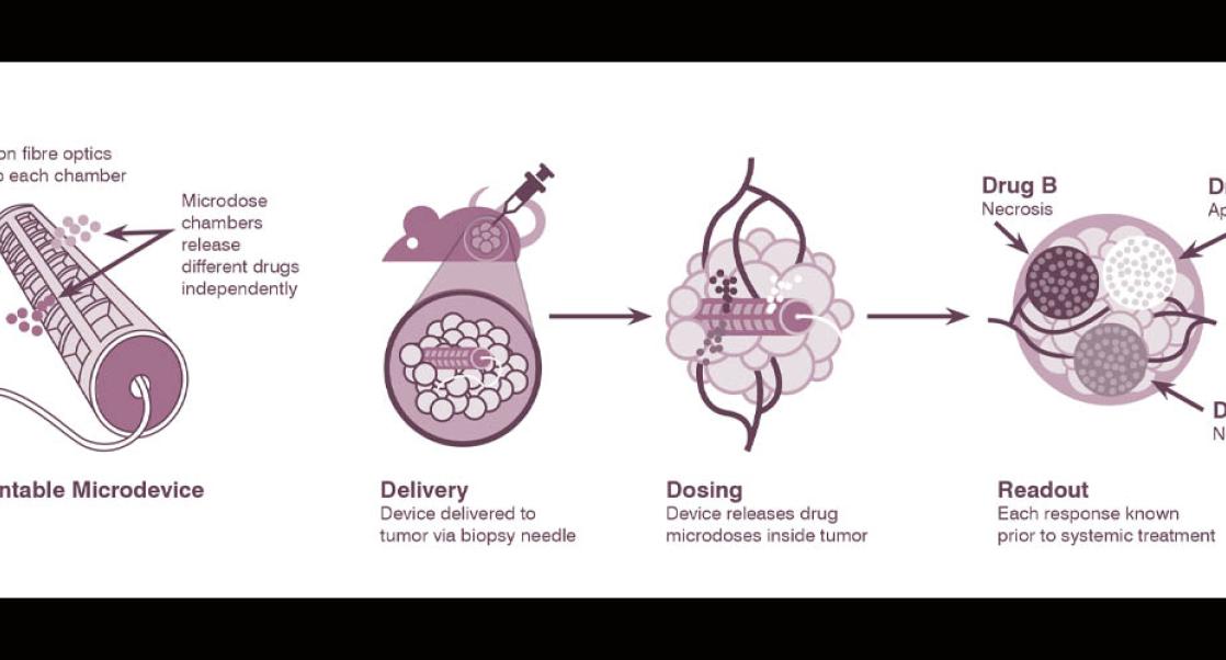 implantable microdevices (IMDs) for cancer research