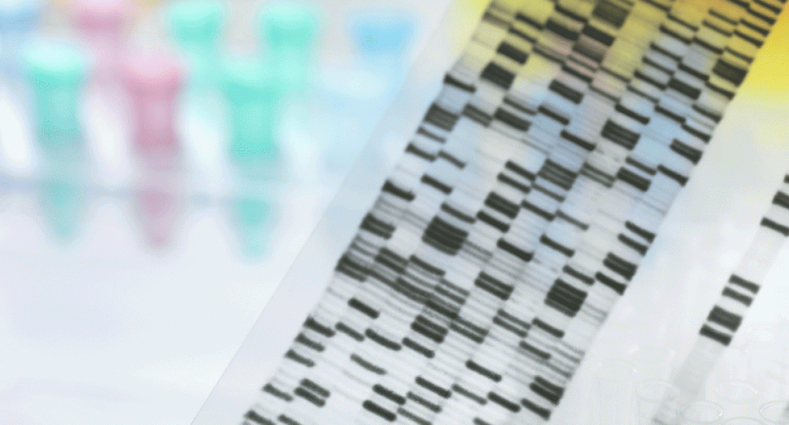 DNA Sequencing panel -- Sanger sequencing method