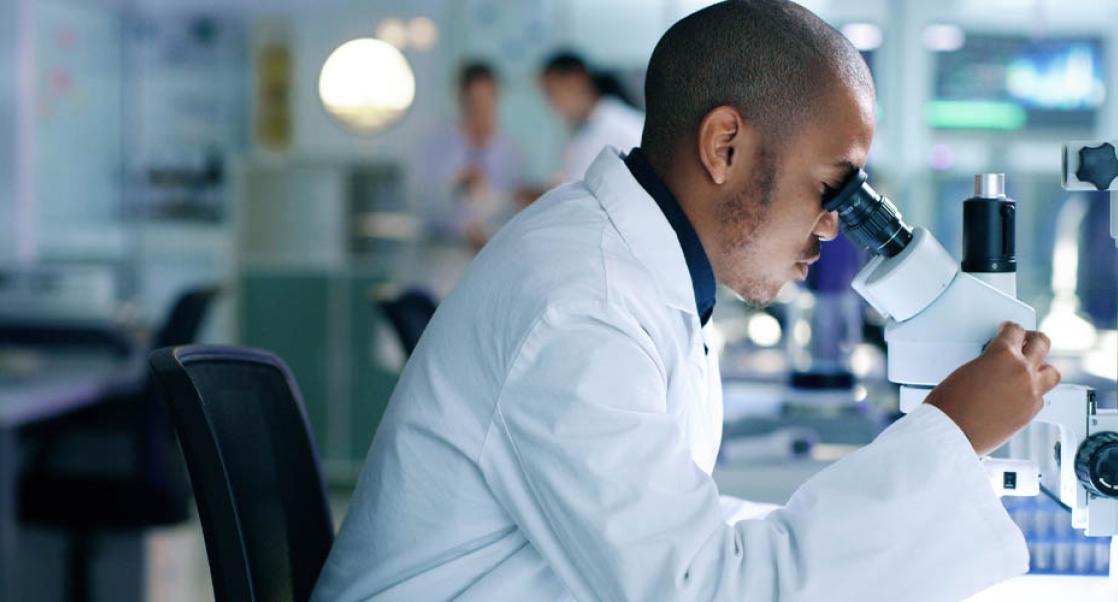 animal alternatives quiz