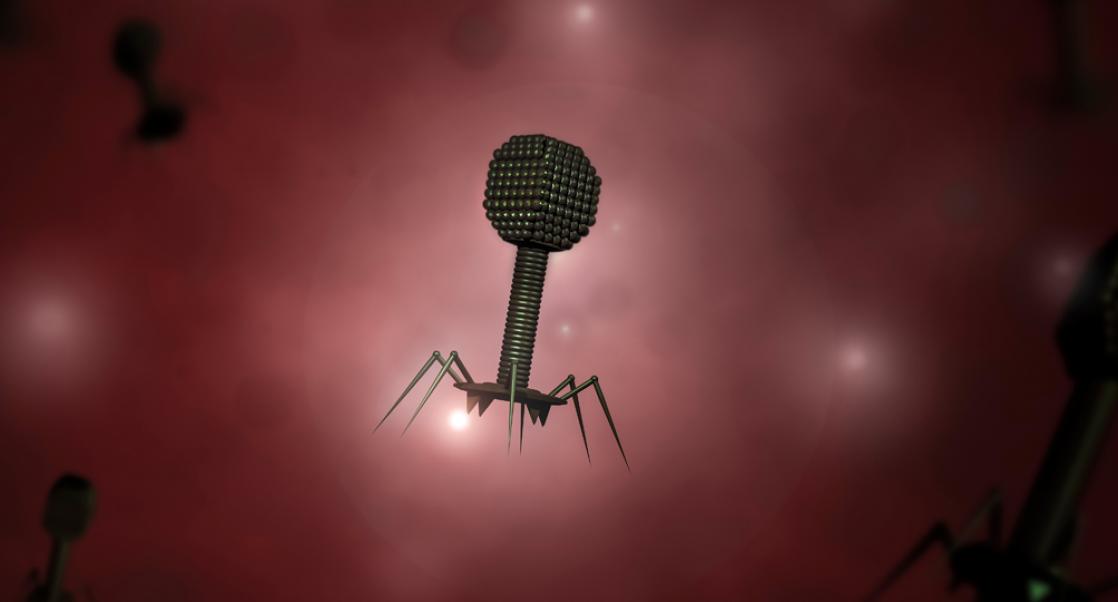 Phage Therapy: Beat the Superbugs at their Own Game