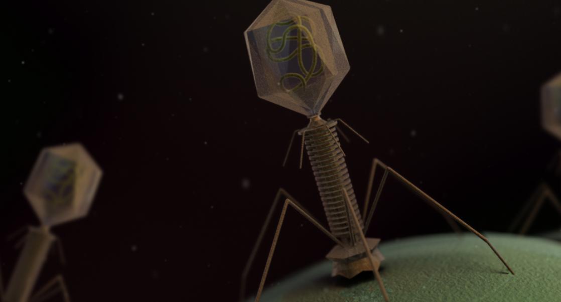 Phages Save CF Patient from Superbug (Abstract Science: May 4-10)