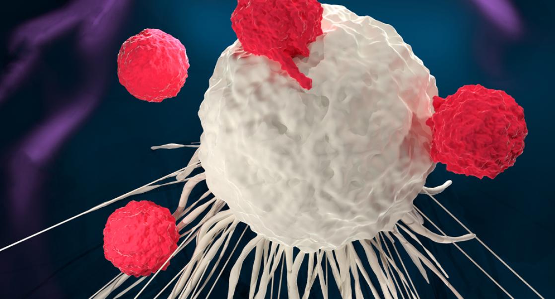 New Paradigms for Testing CAR T Drugs