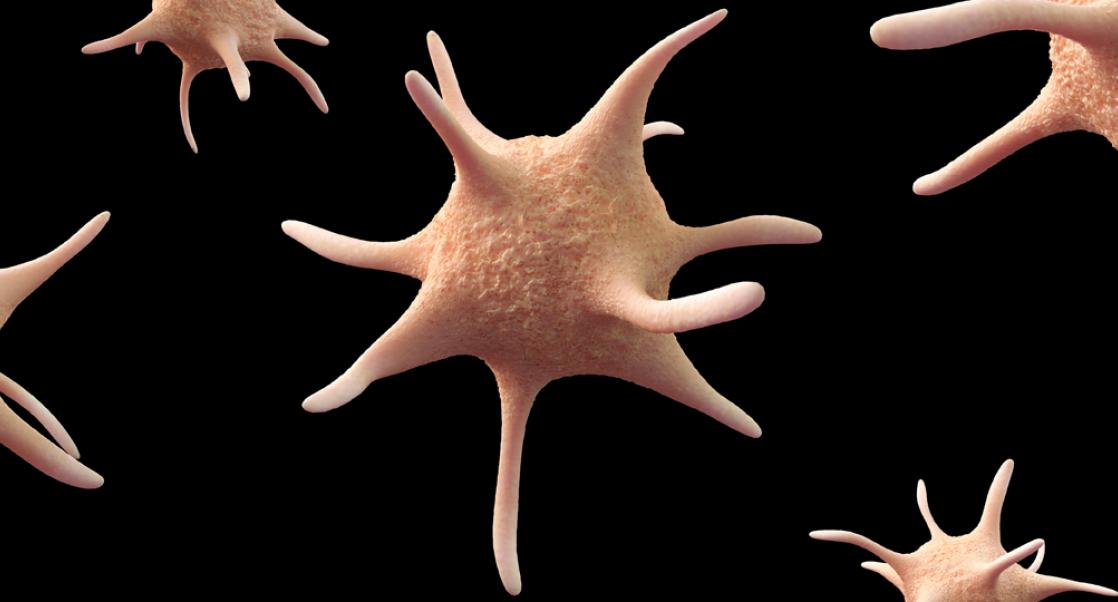 Does Your Drug have an Effect on Hemostasis?