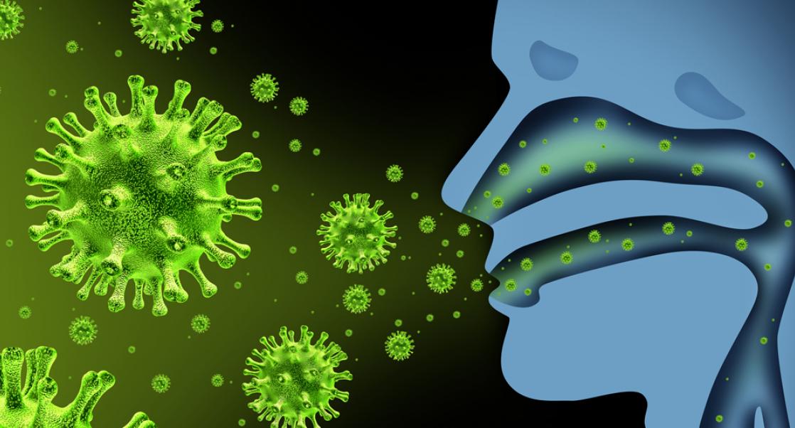 The Pursuit of a Universal Flu Fighter