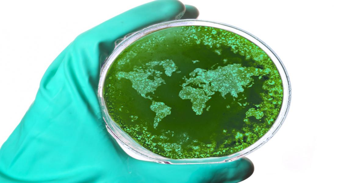 Scary Stat on Infectious Diseases (Abstract Science: Feb. 25-March 1)