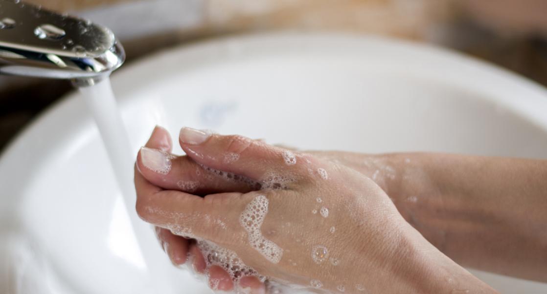 Typhoid Mary Should Have Washed Her Hands