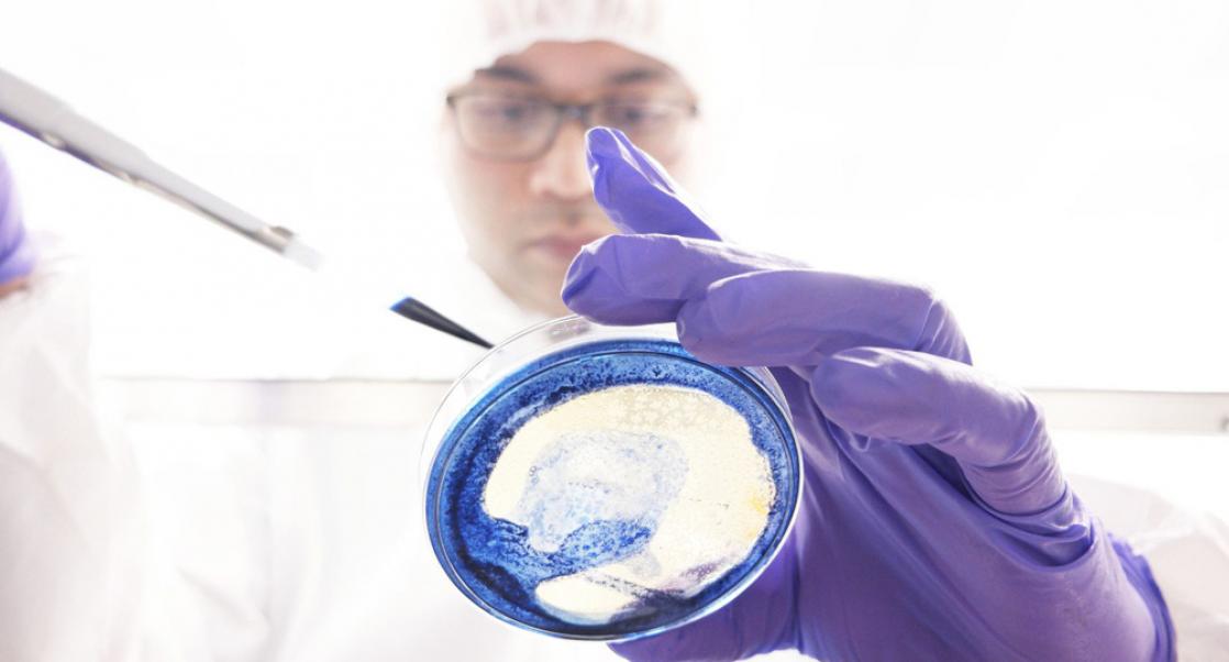 How Ready are Your Cleanrooms for Annex 1 Updates?