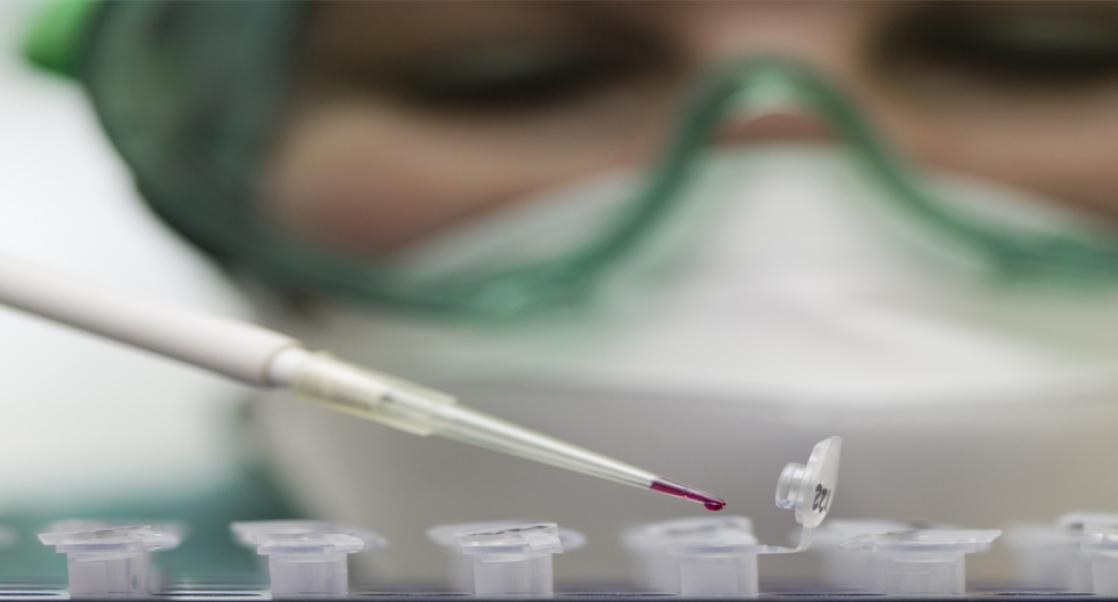 What’s in Stock at the TOX Show