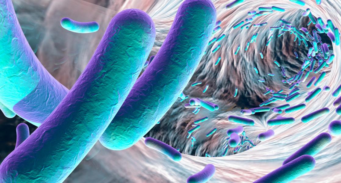 AI Discovers Antibiotic (Abstract Science, Feb. 16 – 22)