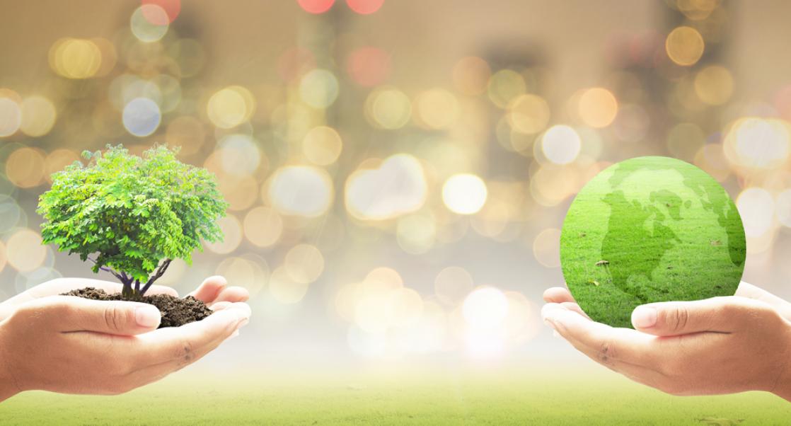 E23: What is Corporate Sustainability?