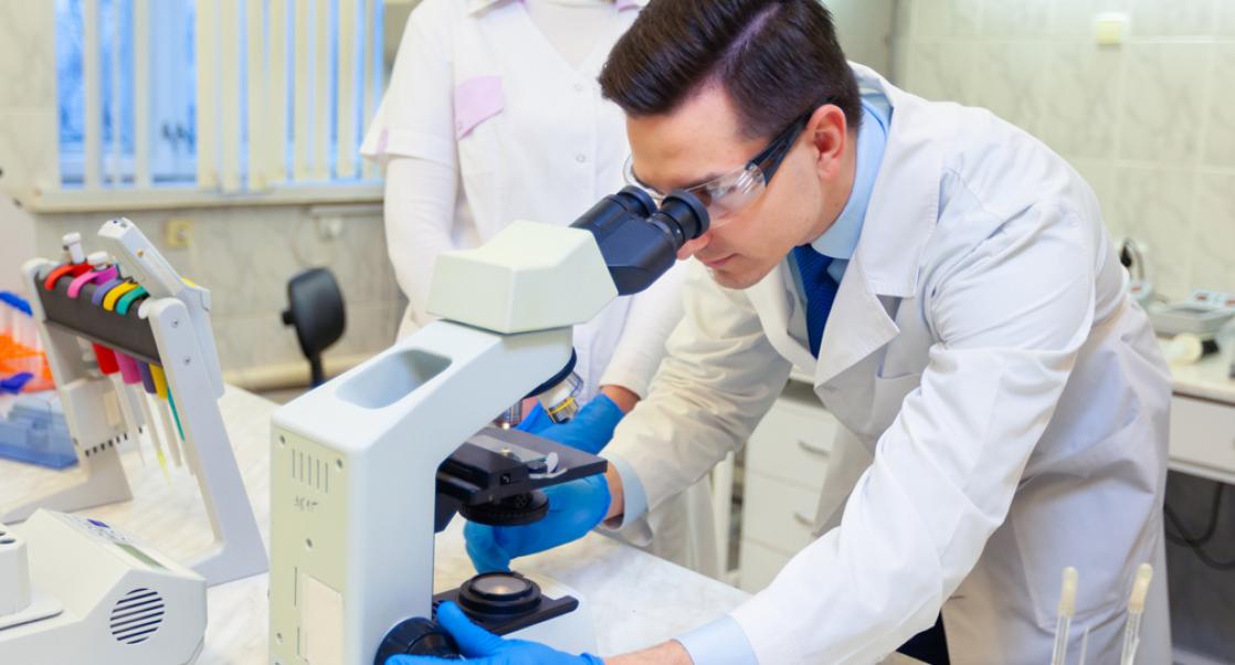 Tissue Image Analysis in Regulatory Environment