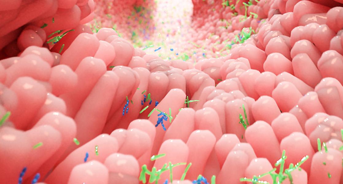 The Germ-Free Factories (Video)