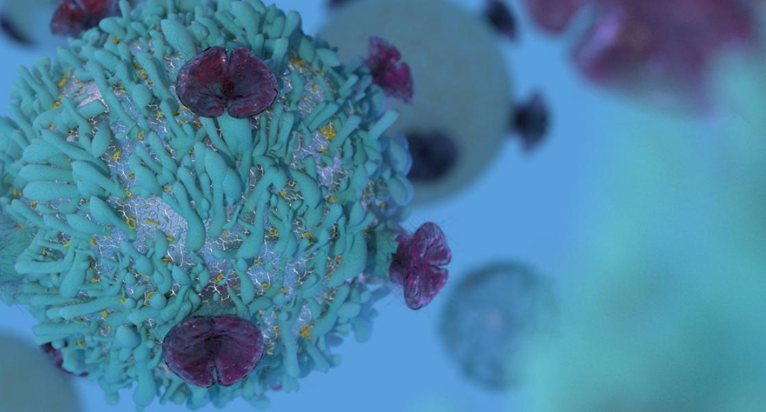 Modeling the Tumor Microenvironment (Video)