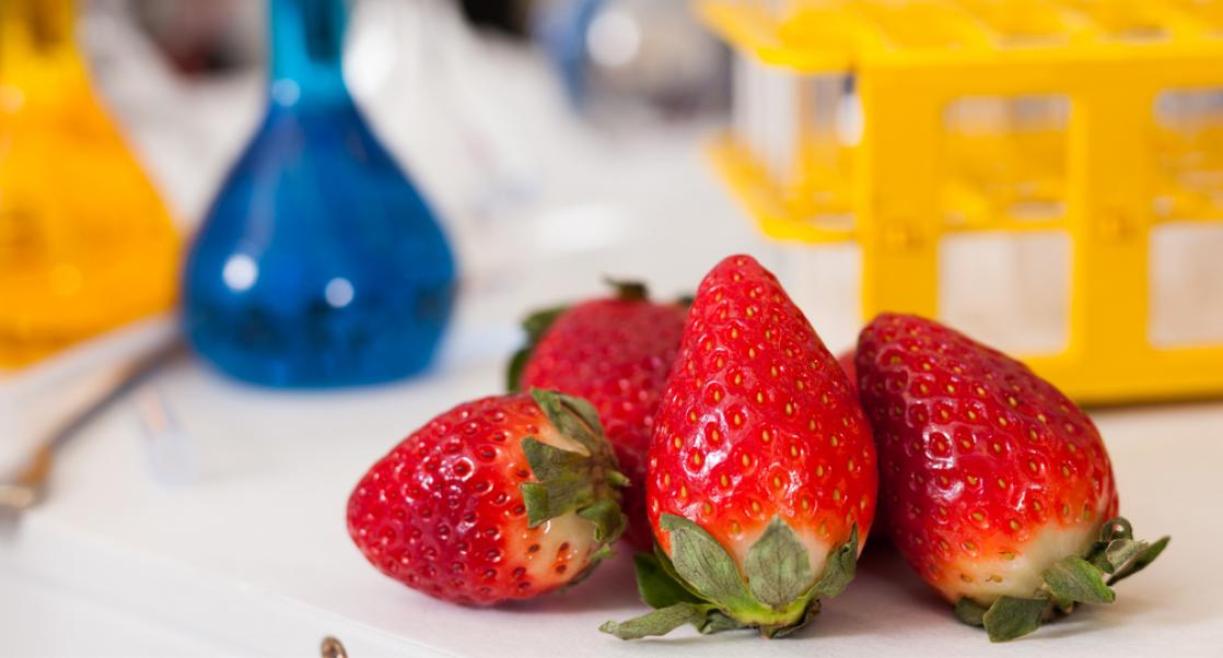 Today's Kid Scientists Will Invent Tomorrow's Cures