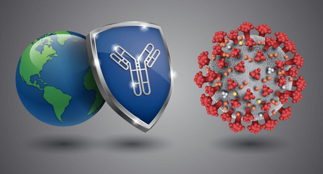 What Can Antibody Tests Reveal about the State of SARS-CoV-2?