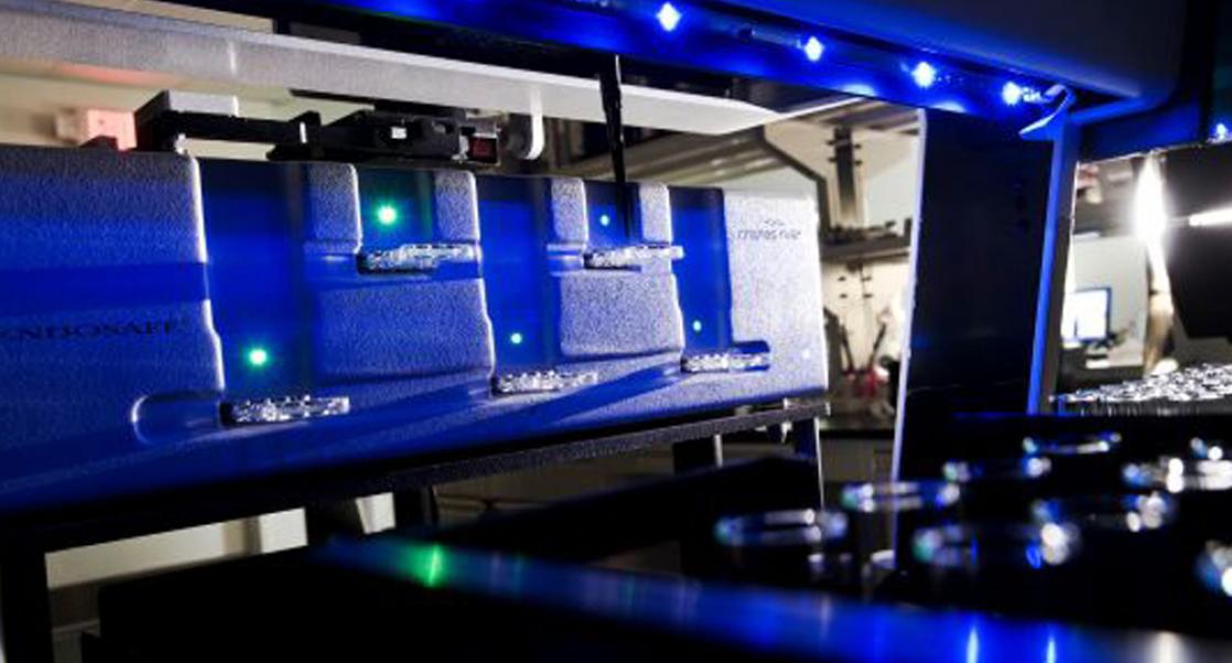 The Rapid-Fire World of Endotoxin Testing