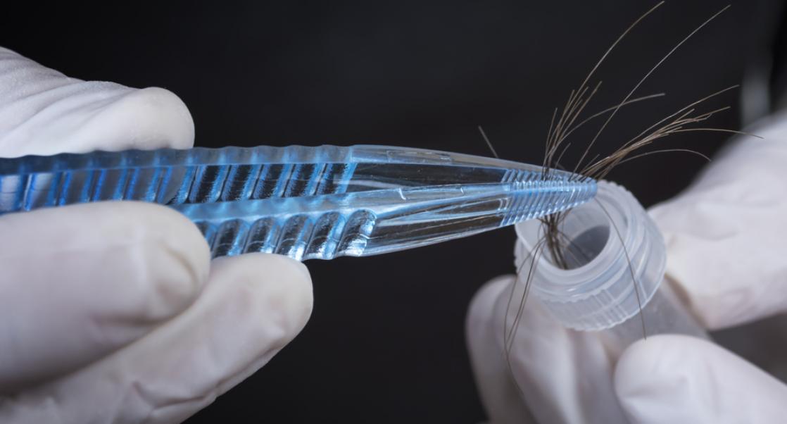 Hair’s the Thing…