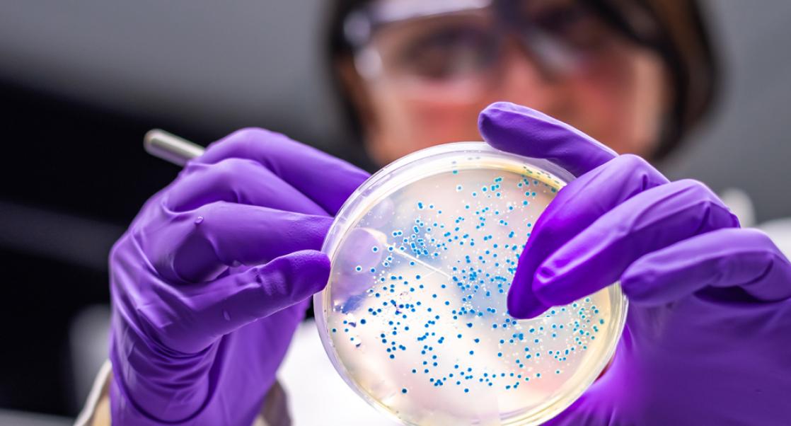 Microbiology Core Competencies and Control in the Facility