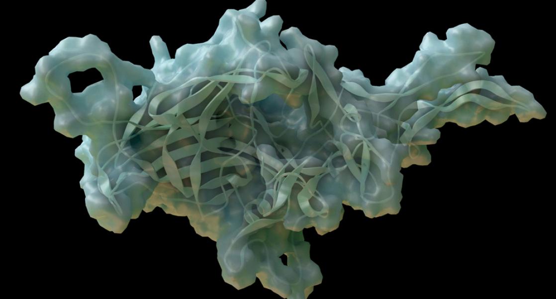 Viral Vectors that Outmaneuver Nature